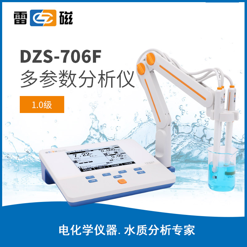 DZS-706F 型多參數(shù)分析儀
